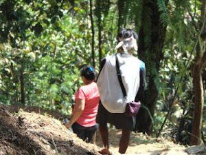 Menapaki Jejak Suku Baduy: Perjalanan ke Pedalaman Lebak untuk Menyaksikan Keteguhan Menjaga Tradisi dan Menolak Arus Modernisasi
