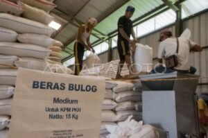 GERAM Kecam Bulog: Bantuan Beras Bau dan Timbangan Kurang Lukai Kepercayaan Publik.